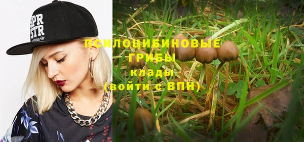 крисы Магадан