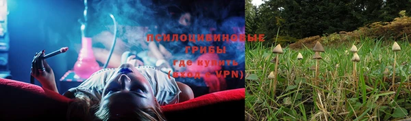 крисы Магадан