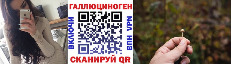 Псилоцибиновые грибы Psilocybine cubensis  Купить  Павловская 